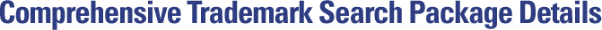 Comprehensive Trademark Search Package Details