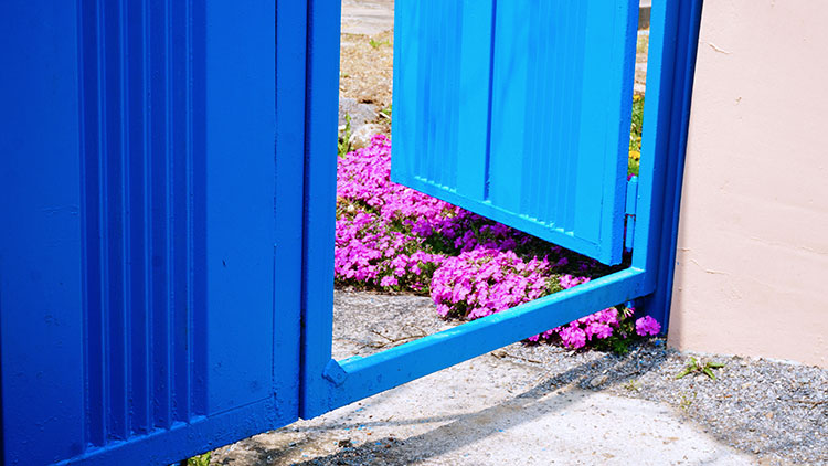 Blue outdoor gate ajar