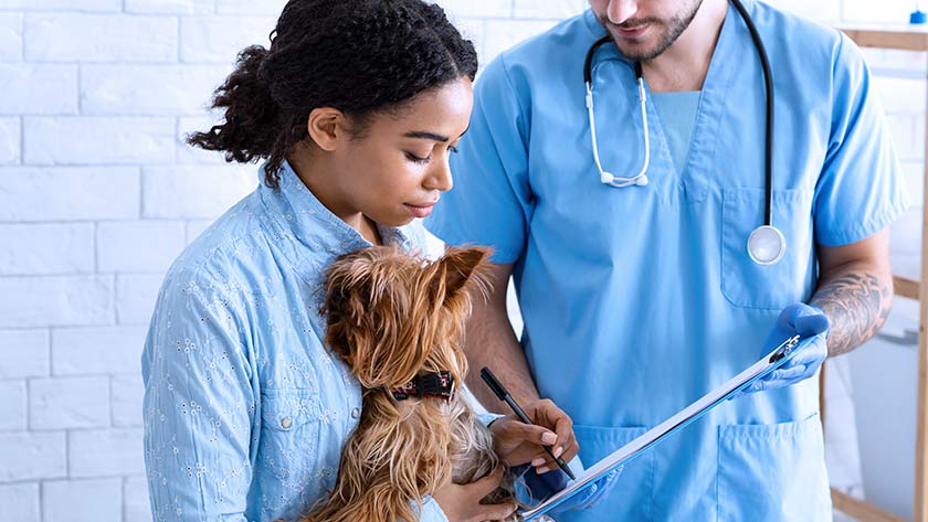 Veterinarian and pet owner