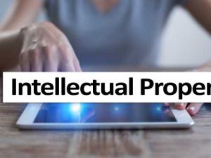 An overview of intellectual property rights
