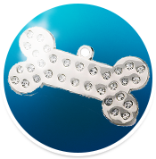 Dog Bone Shaped Dog Tag