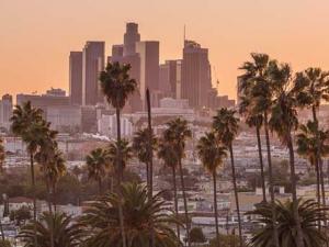 How to Set Up a DBA in California