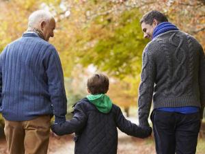 Living Will Versus a Last Will