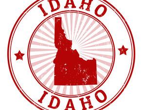 How to form an Idaho partnership