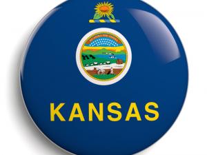 How to start an LLC in Kansas