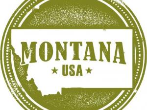 How to start an LLC in Montana