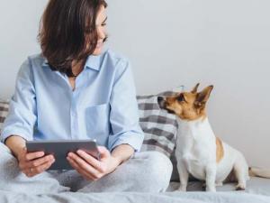 Set up custody guidelines with a pet custody agreement