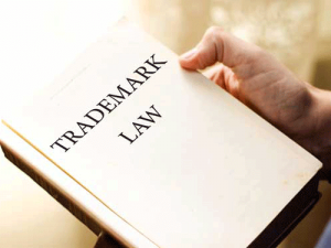 The basics of trademark enforcement