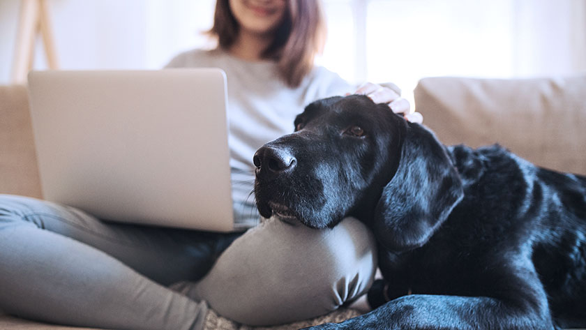 woman and her dog looking at LegalZoom services 